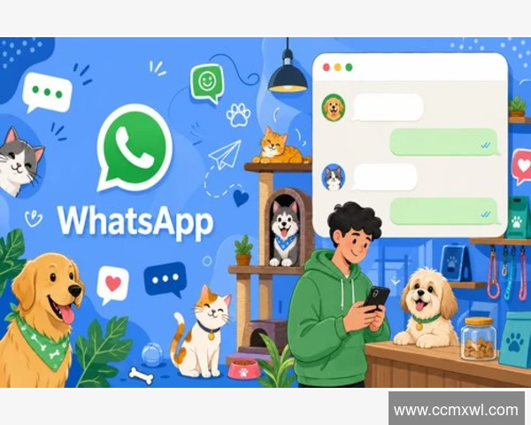 在中国使用WhatsApp时如何保护隐私？